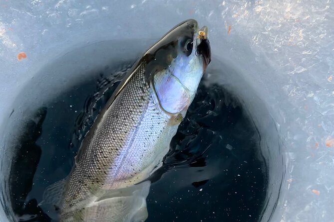 3 Hour Ice Fishing Experience - Operator and Tour Company
