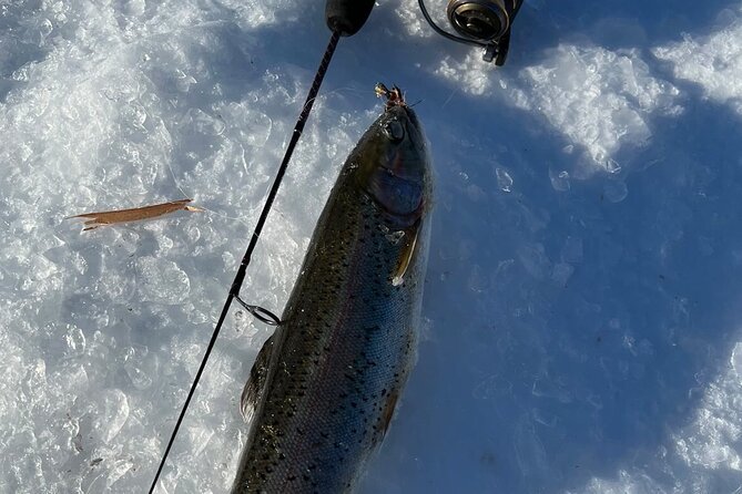 3 Hour Ice Fishing Experience - Pricing and Cancellation Policy