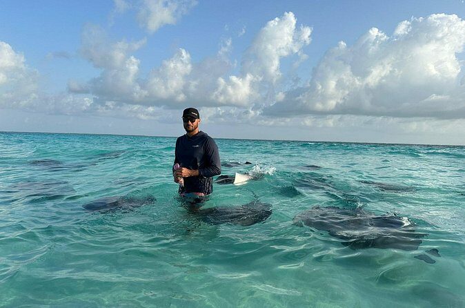 3 Hour Jet ski Adventure Swim with Rays and More - What the Tour Offers at a Glance