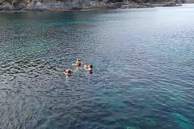 3-Hour Kayak and Snorkeling Experience in Batemans Bay - Meeting and Pickup