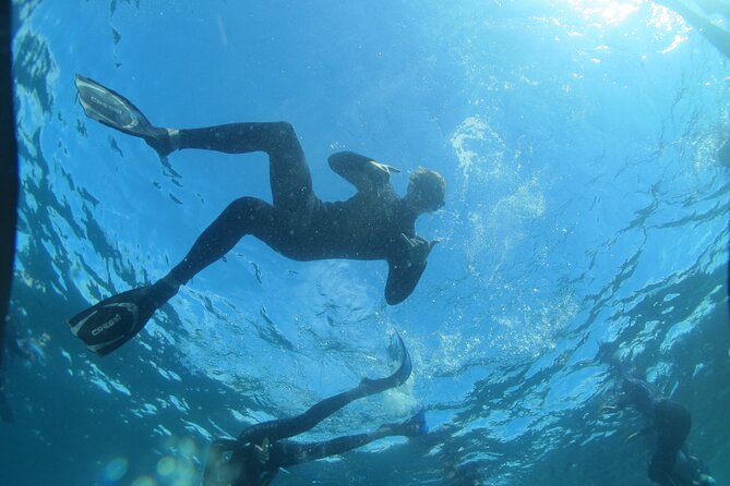 3-Hour Kayak and Snorkeling Experience in Batemans Bay - Booking Confirmation