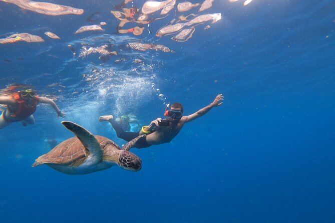 3 Hour Kayak and Snorkeling Experience in Tenerife - Health and Safety Considerations