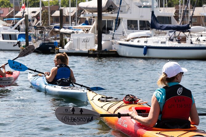 3 Hour Kayak in Vancouver With Coffee on the Beach - Return to the Starting Point