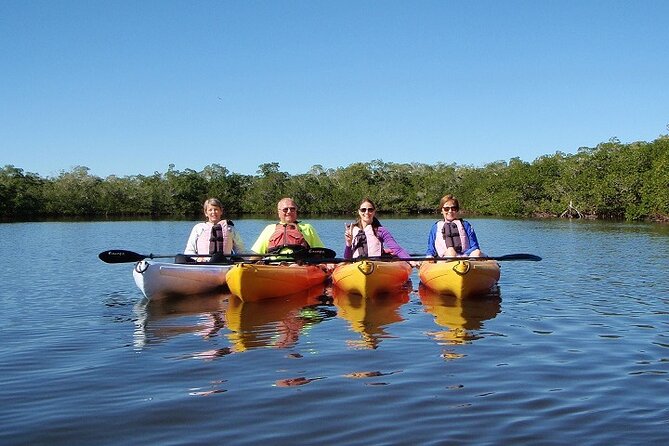 3 Hour Kayak/SUP Rental in Cape Porpoise Harbor - Meeting and End Point