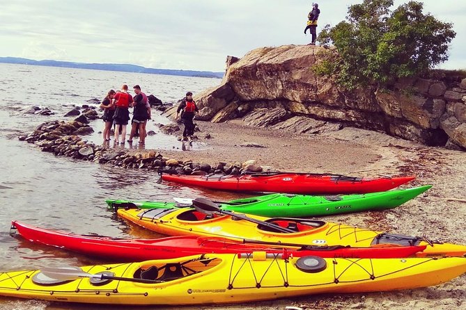 3- Hour Kayak Tour on the Oslofjord - Recommended Fitness and Clothing
