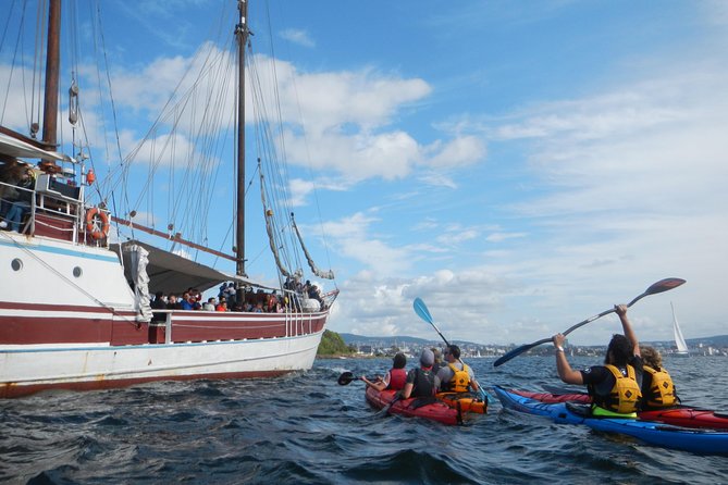3- Hour Kayak Tour on the Oslofjord - Group Size and Minimum Age