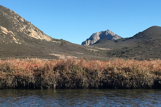 3-Hour Kayaking and Hiking in California's Central Coast - Guide Expertise