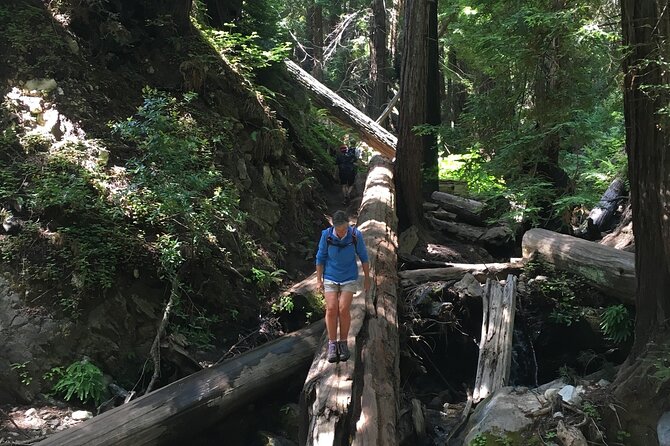 3-Hour Kayaking and Hiking in California's Central Coast - Customizable Itinerary