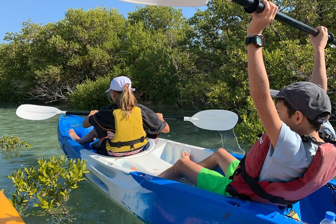 3-Hour Kayaking Eco Adventure - Mangrove Purple Island - Accessibility and Transportation