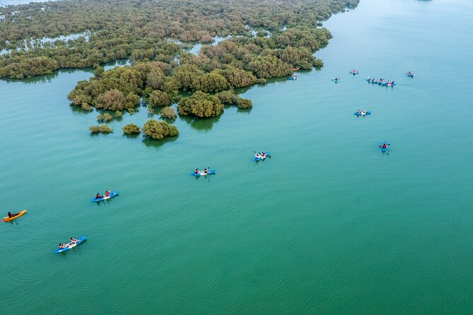 3-Hour Kayaking Eco Adventure - Mangrove Purple Island - Tide Levels and Meal Options