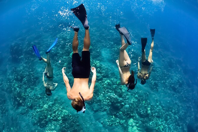 3-Hour Koa Kai Molokini Adventure Snorkel - Key Points
