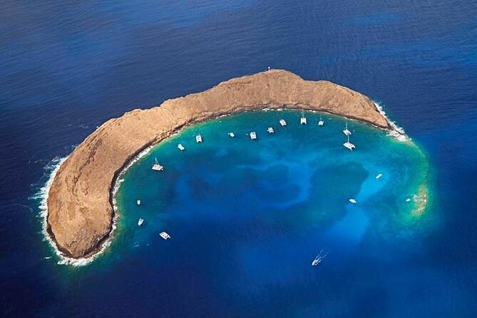 3-Hour Koa Kai Molokini Adventure Snorkel - Reviews