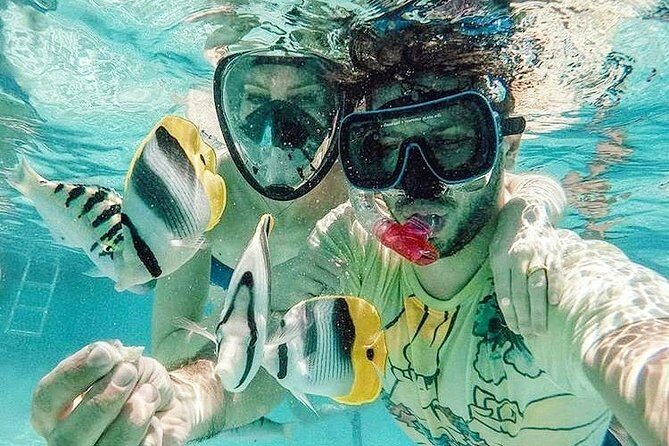 3-hour Lagoon Snorkeling Tour - Private Tour - Key Points