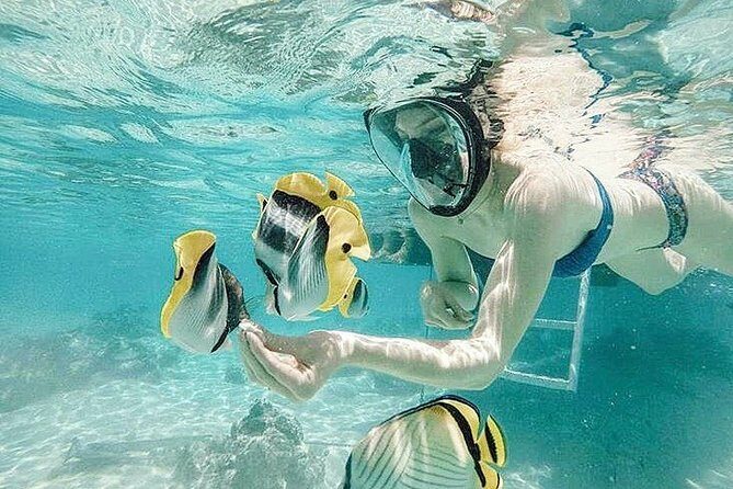 3-hour Lagoon Snorkeling Tour - Shared Tour - What to Expect from the 3-hour Lagoon Snorkeling Tour