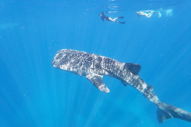 3-Hour Luxury Private Custom Charter - Exploring the Big Island
