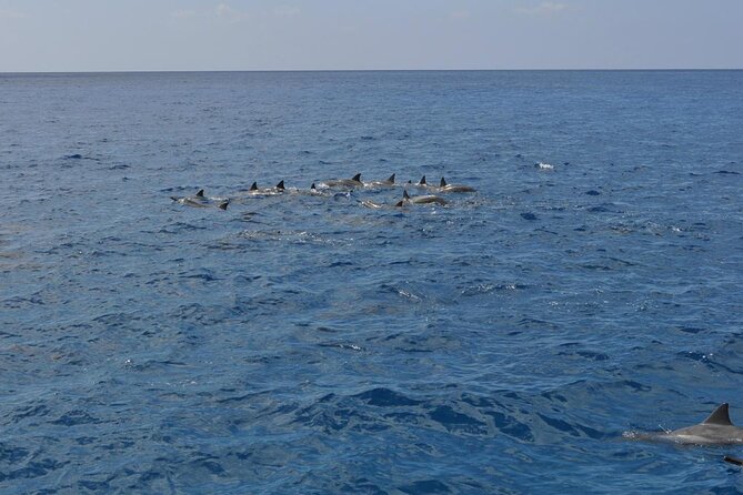 3 Hour Maalaea Luxury Snorkel Cruise Tour Exclusive to 6 Guests - Health and Safety Considerations