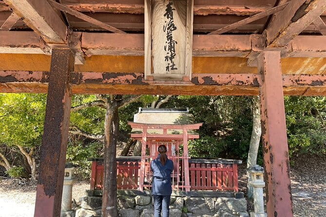 3 Hour Nanaura Tour Around Miyajima With Lunch Box - Participation Requirements