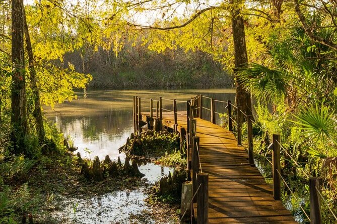 3 Hour Natural Florida Everglades Guided Bicycle Eco Tour - Meeting and End Point