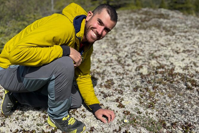 3 Hour Naturalist Walking Tour in Denali National Park - Review Highlights