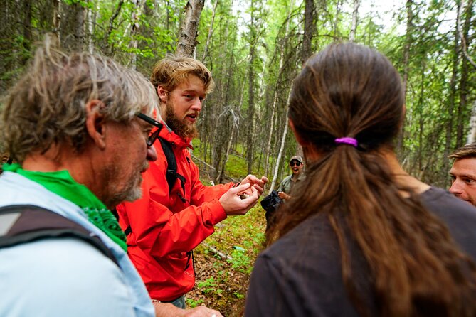 3 Hour Naturalist Walking Tour in Denali National Park - Frequently Asked Questions