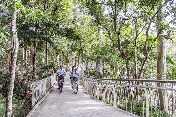 3-Hour Noosa Explorer E-Bike Tour - Customer Feedback