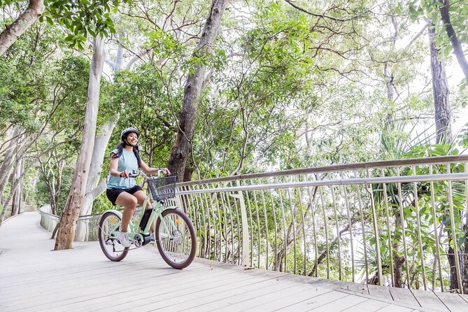 3-Hour Noosa Explorer E-Bike Tour - Scenic Highlights