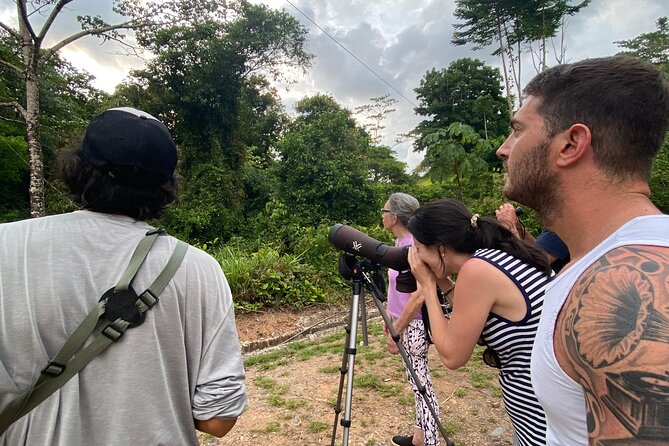 3-Hour Private Birdwatching Experience in Uvita / Ojochal - Key Points