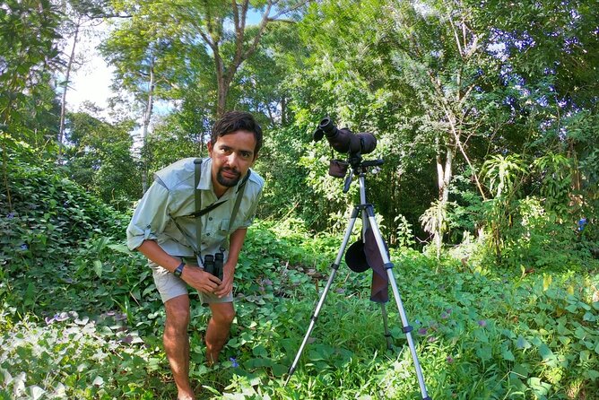 3-Hour Private Birdwatching Experience in Uvita / Ojochal - Birdwatching Tour Details