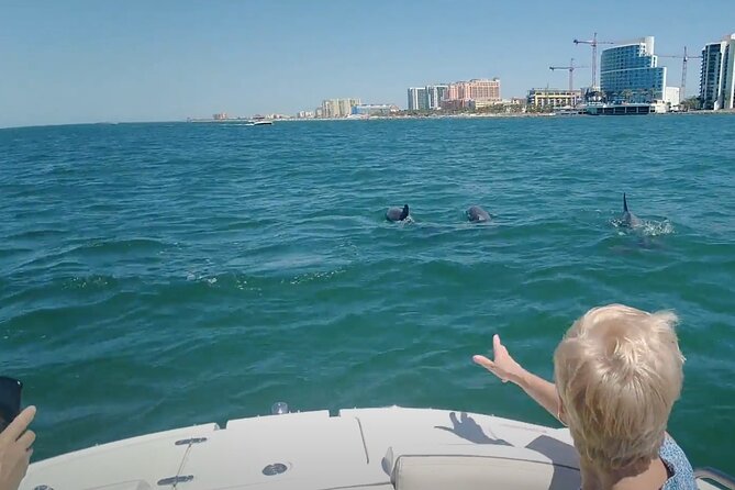 3-hour Private Boat Tour in Clearwater Florida Up to 6 People - Meeting and Pickup