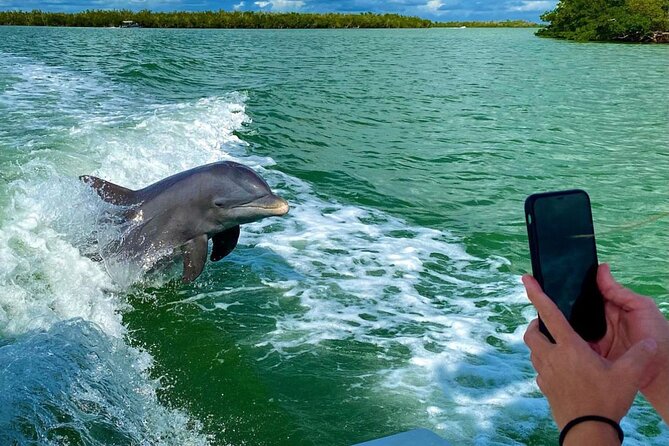 3 Hour Private Dolphin & Shelling Tour - Key Points