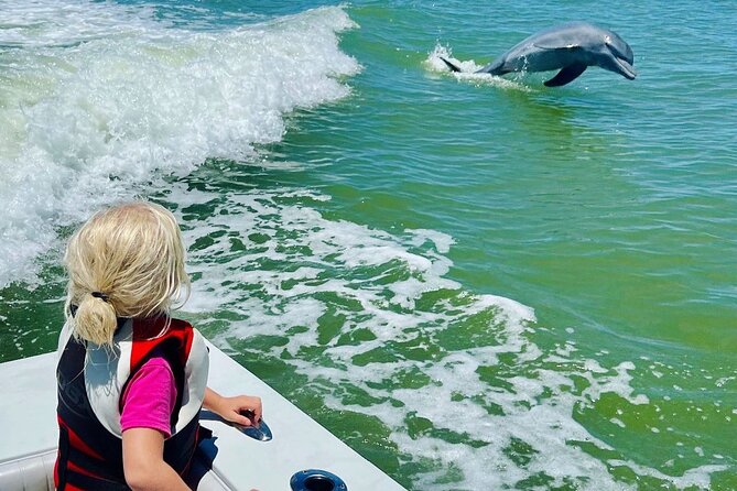 3 Hour Private Dolphin & Shelling Tour - Inclusions