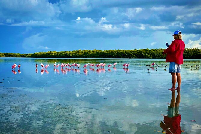 3 Hour Private Dolphin & Shelling Tour - Accessibility