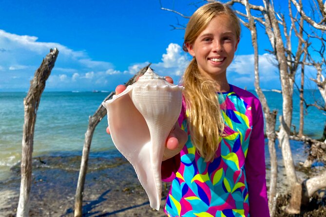 3 Hour Private Dolphin & Shelling Tour - Shelling Adventure