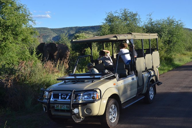 3-Hour Private Game Drive of Pilanesberg National Park - Highlights of the Big Five