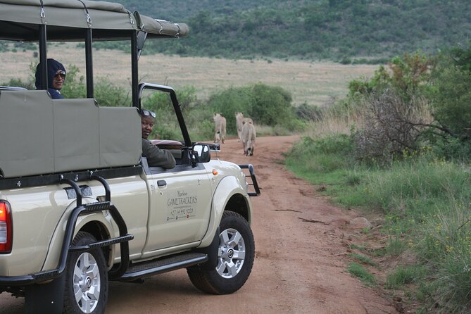 3-Hour Private Game Drive of Pilanesberg National Park - Traveler Reviews and Ratings