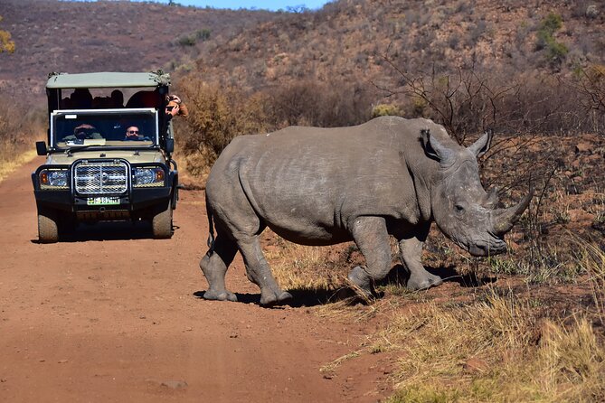 3-Hour Private Game Drive of Pilanesberg National Park - How to Book Your Experience