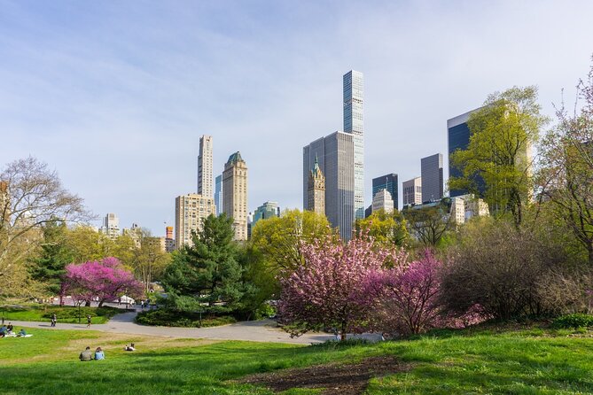 3-Hour Private Guided NYC Central Park Tour With Carrousel Ride - Meeting and End Points