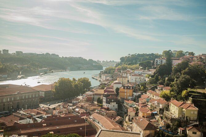 3-Hour Private Guided Walking Tour of the BEST of Porto - Confirmation and Accessibility