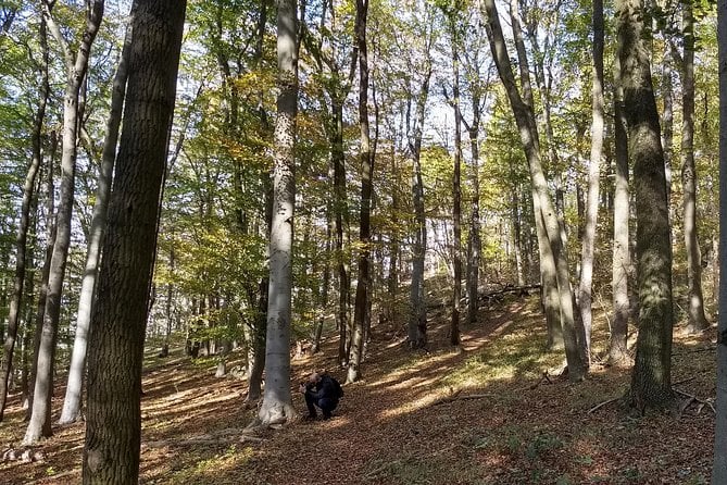 3-Hour Private Hiking Tour Over Parapluie Mountain With a View of Vienna - Cancellation Policy