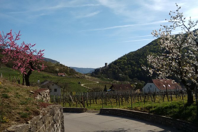 3-Hour Private Hiking Tour to Historic Places Around Spitz in Wachau Valley - Included in the Tour