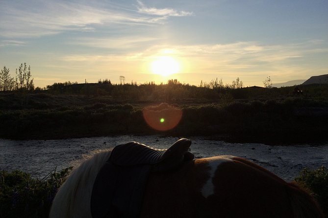 3 Hour Private Horse Riding Tour in Mosfellsdalur - Requirements and Restrictions