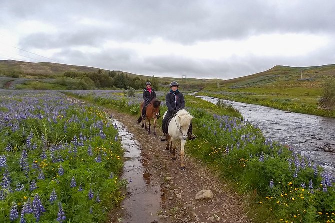 3 Hour Private Horse Riding Tour in Mosfellsdalur - Personalized Private Tour