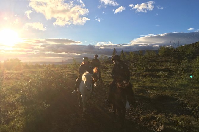 3 Hour Private Horse Riding Tour in Mosfellsdalur - Scenic Riding Experience