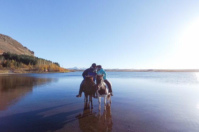 3 Hour Private Horse Riding Tour in Mosfellsdalur - Customer Feedback Highlights