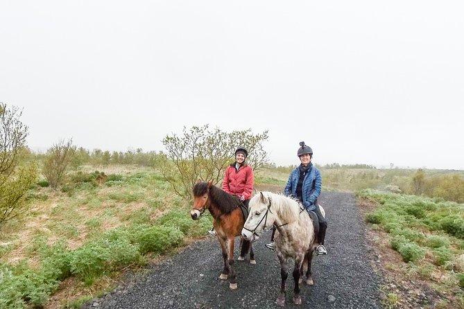 3 Hour Private Horse Riding Tour in Mosfellsdalur - Booking and Cancellation