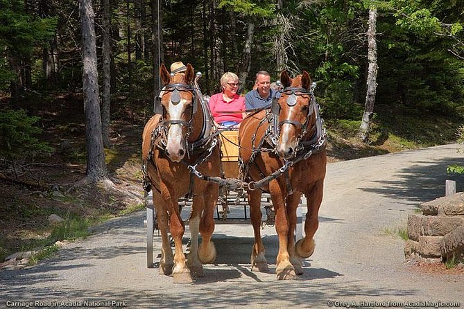 3-Hour Private Luxor Horse Carriage City Tour - Inclusions