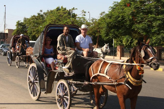 3-Hour Private Luxor Horse Carriage City Tour - Meeting and Pickup
