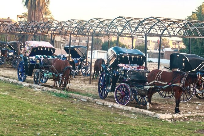 3-Hour Private Luxor Horse Carriage Experience Around Luxor City - Tour Accessibility and Guidelines
