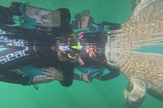3 Hour Private Manatee Snorkel Tour - Meeting and Pickup