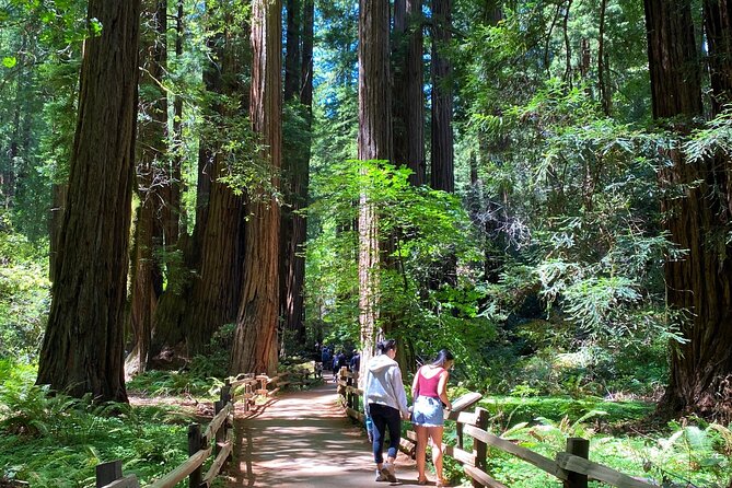 3-Hour Private Muir Giant Redwoods Trees and Sausalito Tour - Jeep Transportation